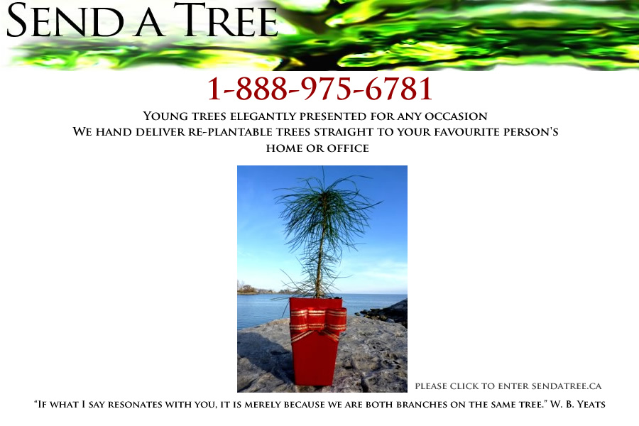 send a tree